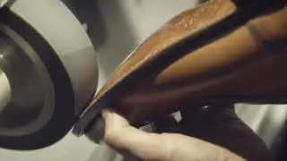 Shoe brush_profilaktika