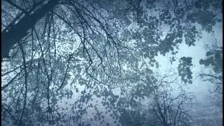 The Callous. Инструментальная гитарная композиция. [2014]