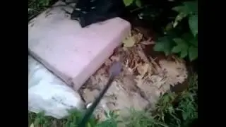 я бомж .на улице!!