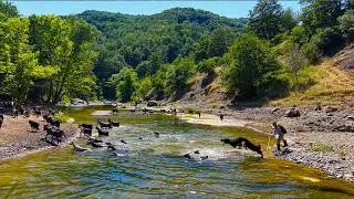 Mountains, Lake and Goats: A Shepherd's Summer Journey – Hidden Paradise 3 | Documentary