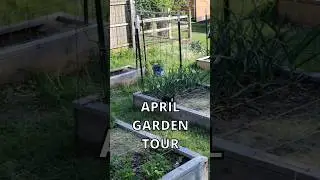 The April Garden Tour! #gardentour #gardening #april