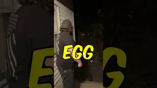 Flying EGG Goes Through My Neighbors Window! 