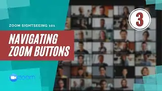 Navigating Zoom as a Participant  - Zoom 101 Tutorial for Participants (3 of 3)