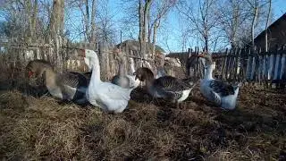 VID 20211204 131507