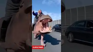 Бабка на бегемоте в поликлинику? 🦛