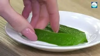 Innora Aloevera Juice English | Dr.V.Ramasundaram
