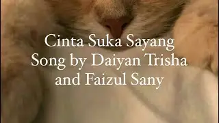 cinta suka sayang by daiyaj trisha n faizul sany