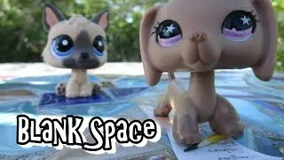 LPS: Blank Space: Music Video (Taylor Swift) Cover Littlest Pet Shop