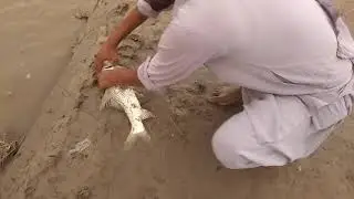 Catching fish with friends.fishing on bank of river.(1)