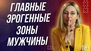 18+ ГЛАВНЫЕ ЭРОГЕННЫЕ ЗОНЫ МУЖЧИНЫ