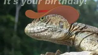 Happy Birthday, Funny Country Western Style!