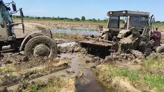 Massey Ferguson Çamurda Çeltik Yeri Hazırlama  New Holland TD75 Çamurda 