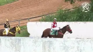 Joquei Clube de Goiás - 06ª Reunião 2022/2023 - 19/11/2022 - 5º Páreo
