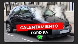 Calentamiento Ford ka