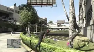 GTA 5 - Funny Moments (Terrorist,Killer, Bike, &  More)