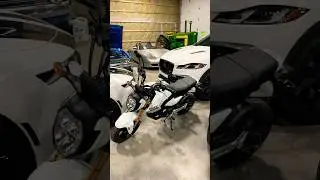 New 2025 Honda Grom #grom #honda #minimoto #motorcycle #hammerdown_motorsports_usa