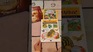 Развивающие книги для ребенка 3 лет