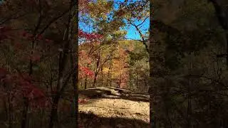 #fallcolours at Dark Hollow Falls Trailhead, Shenandoah National Park