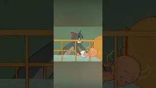 Tom y Jerry en Español 🇪🇸 | ¡Dúo de canguros! 🐱👶🐭 | 