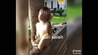 هرب عليها صاحبها تونسية