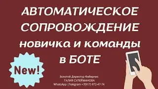Как сопровождать новичка на автомате. Сопровождение новичка и команды в боте. Бот по сопровождению