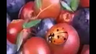Реклама Добрый 2004