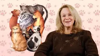 Veterinarian Elsa Flint Reveals How Cat Angels Triumph Game Transforms Cat Care Education
