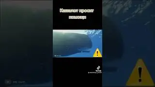Кашалот просит помощи