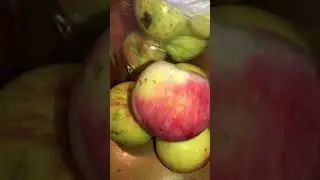 #sorts Муж принёс домашние гостинцы 🔥❤️👌 как же я люблю всё домашние