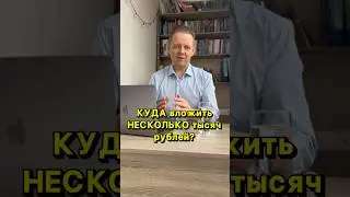 Куда вложить несколько тысяч, чтобы получить максимальную прибыль уже в следующем году!