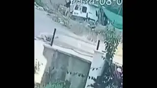 Antalya'da 11 yaşındaki çocuğun taş attığı Kangal cinsi köpek, zincirini kırarak çocuğa saldırdı.