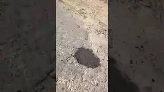 Асфальт куниро ай Шахритус ёдгирен