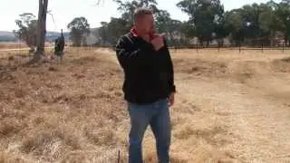 New stallion paddock Day 1