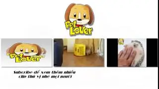 Intro
