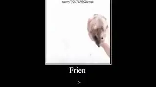 friend now rat zelda music meme backup