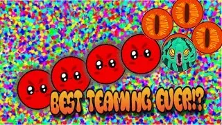BEST TEAMING IN AGARIO EVER?
