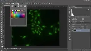 60s 'shop: How to Draw a Square Box in Photoshop CC