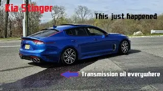 Kia Stinger - This Just Happened