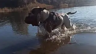 В лучах теплого Осеннего Солнца / водичка ещё теплая