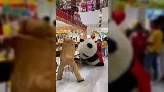 Annoying panda vs bear at mall short compilation (60FPS)