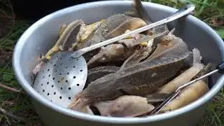 часть 03 Пиляндыш