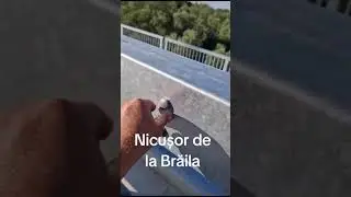Podul de la Brăila - Suruburi