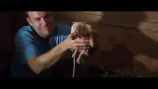 Gyvenimas kaime ir kiti maži stebuklai | tik ŽMONĖS Cinema | nuo balandžio 10 d.