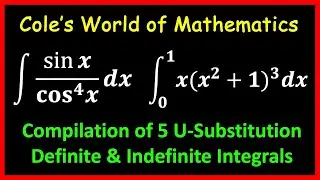 Compilation of Definite and Indefinite Integrals