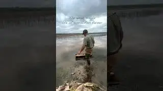 The good life of a Crawfish Farmer.