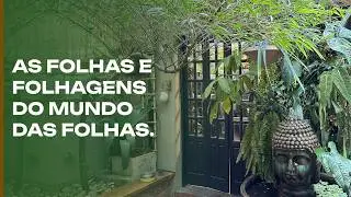Folhas e Folhagens: Mundo das Folhas, uma loja especial