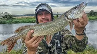 Рыбалка как в Астрахани.Щучий жор.Щука на каждом забросе. Вот это я попал. Запомниться на всю жизнь.