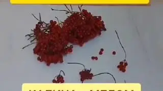 Взрыв иммунитета-Калина с медом!