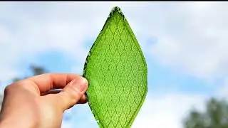 5 технологий будущего которые изменят мир