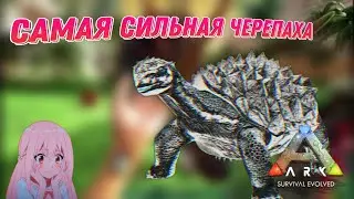 САМАЯ СИЛЬНАЯ ЧЕРЕПАХА В ARK | PUGNACIA DINOS | 2 СЕРИЯ